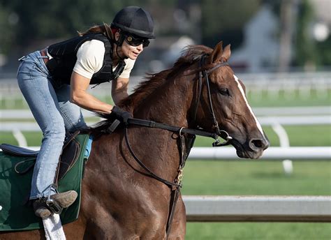 chanel turf|Channel Maker, male turf champion of 2020, retired from racing.